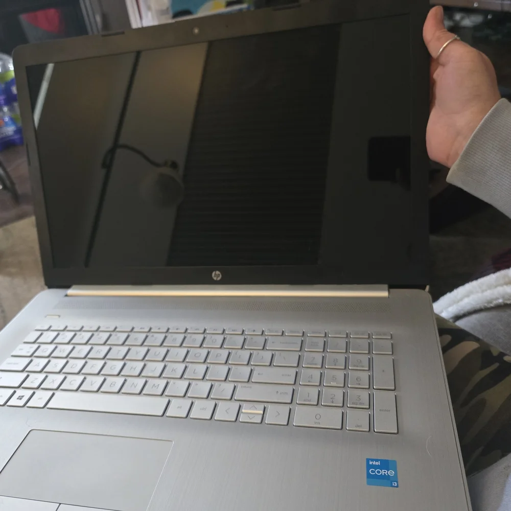 HP Silver Laptop